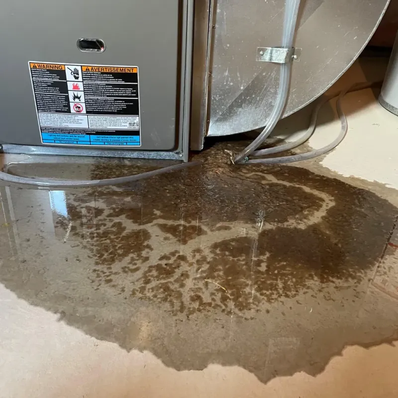 Appliance Leak Cleanup in Woodward, IA